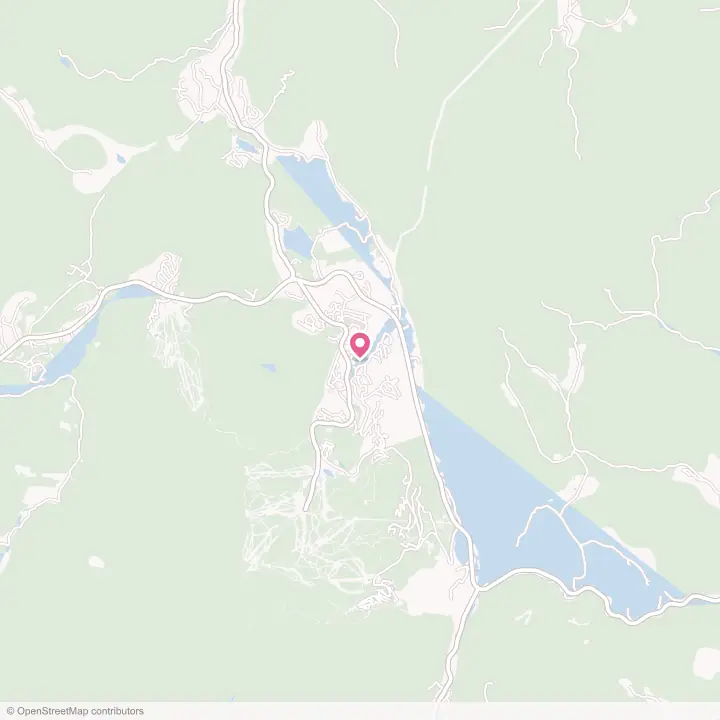 Map of the flower delivery area in Killington Village, Vermont