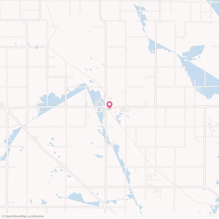 Map of the flower delivery area in Marion, Michigan