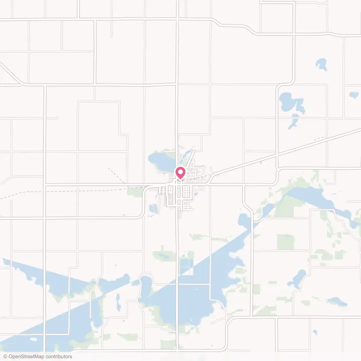Map of the flower delivery area in Sleepy Eye, Minnesota