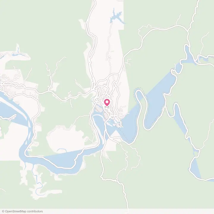 Map of the flower delivery area in Toledo, Oregon