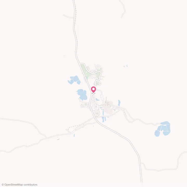 Map of the flower delivery area in Colstrip, Montana