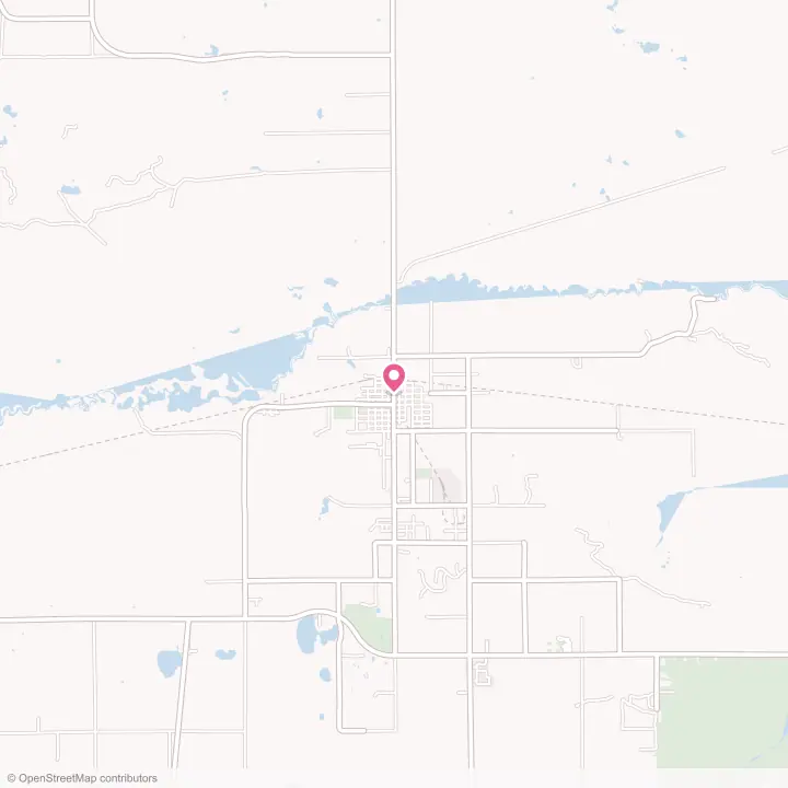 Map of the flower delivery area in Newberry, Michigan