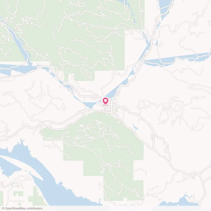 Map of the flower delivery area in Morton, Washington