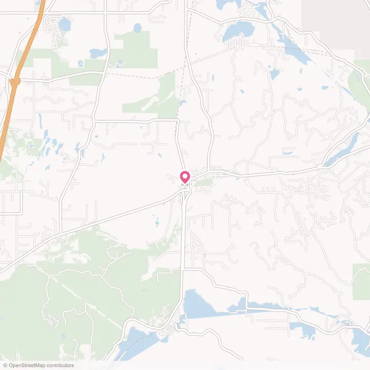 Map of the flower delivery area in Tenino, Washington
