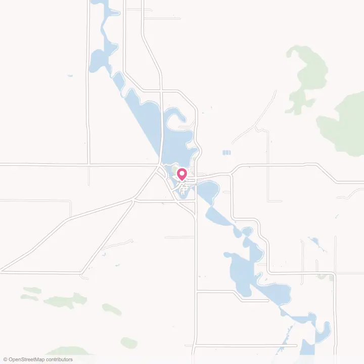 Map of the flower delivery area in Littlefork, Minnesota