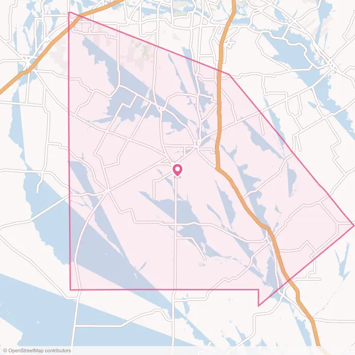 Map of the flower delivery area in Atascosa County, Texas
