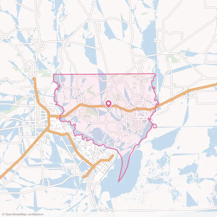 Map of the flower delivery area in Orange County, Texas