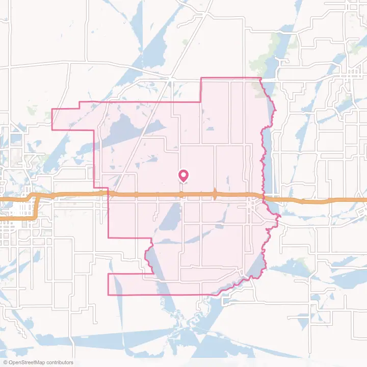 Map of the flower delivery area in Jefferson Davis Parish, Louisiana