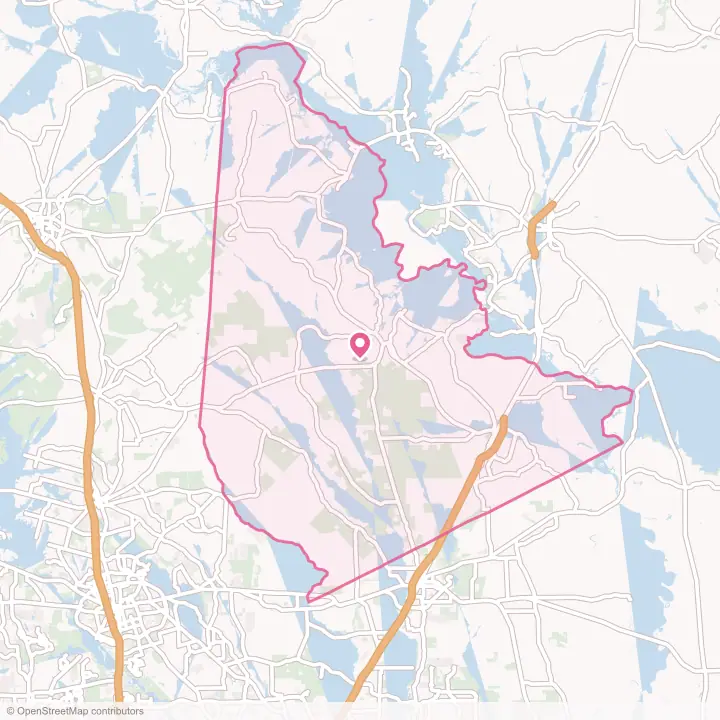 Map of the flower delivery area in San Jacinto County, Texas