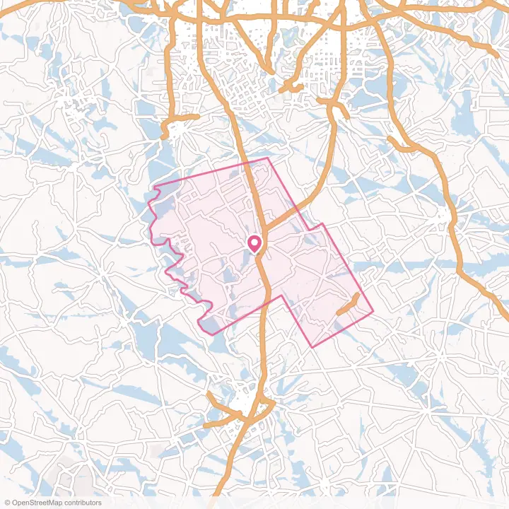 Map of the flower delivery area in Hill County, Texas