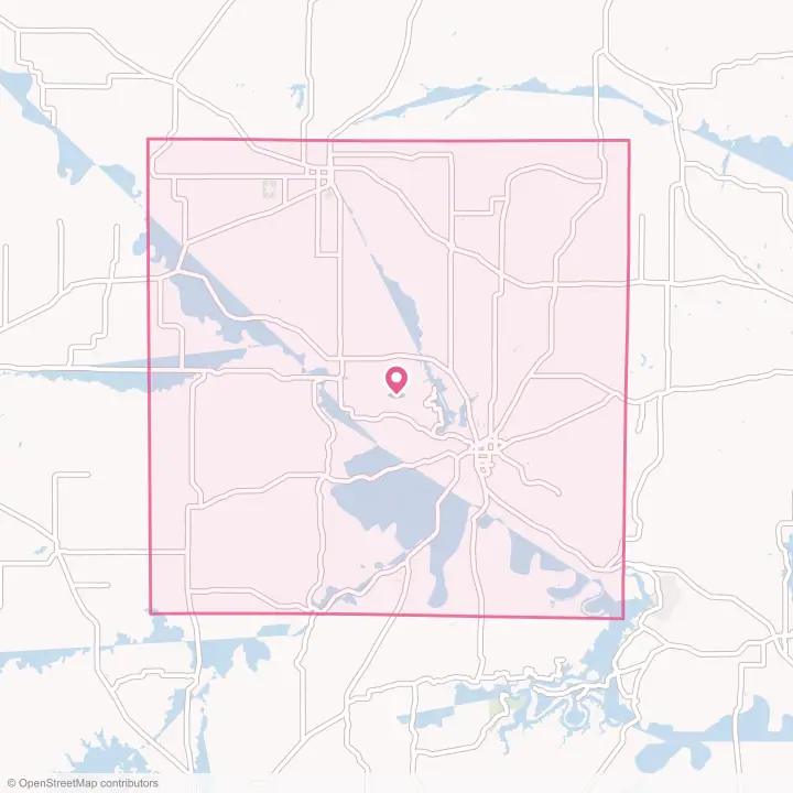 Map of the flower delivery area in Young County, Texas