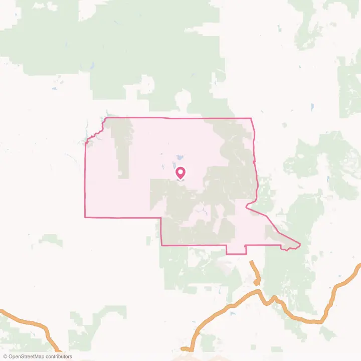 Map of the flower delivery area in Rio Arriba County, New Mexico