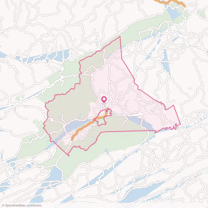 Map of the flower delivery area in Wise County, Virginia