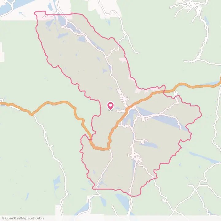 Map of the flower delivery area in Summit County, Colorado